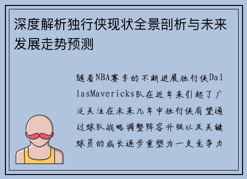 深度解析独行侠现状全景剖析与未来发展走势预测