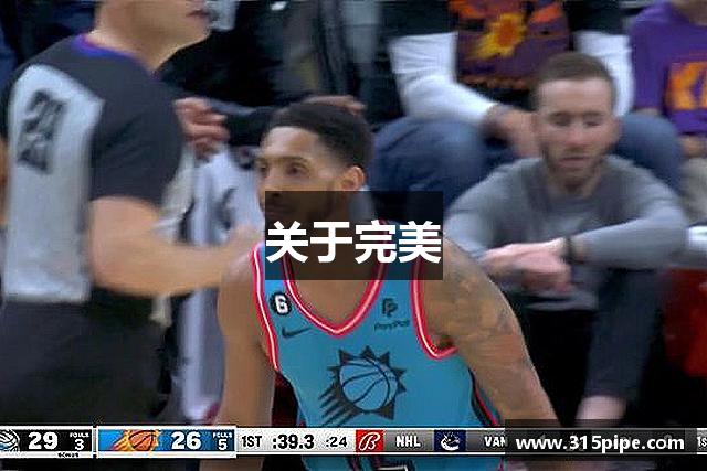关于完美